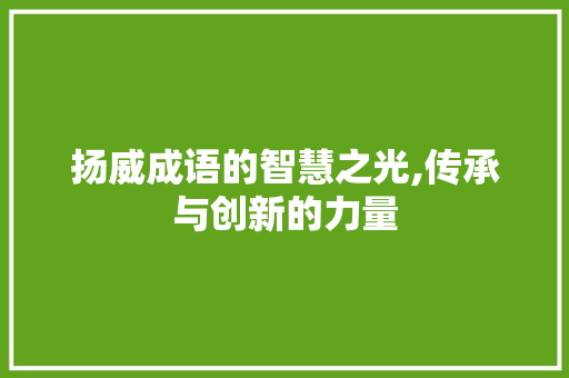 扬威成语的智慧之光,传承与创新的力量