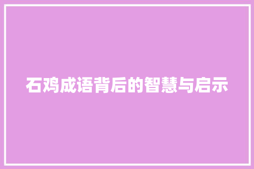 石鸡成语背后的智慧与启示