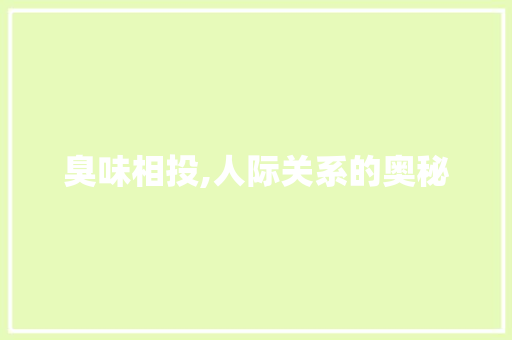 臭味相投,人际关系的奥秘