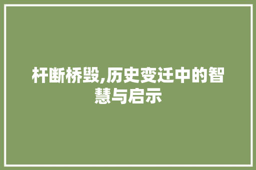 杆断桥毁,历史变迁中的智慧与启示