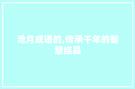 沧月成语的,传承千年的智慧结晶