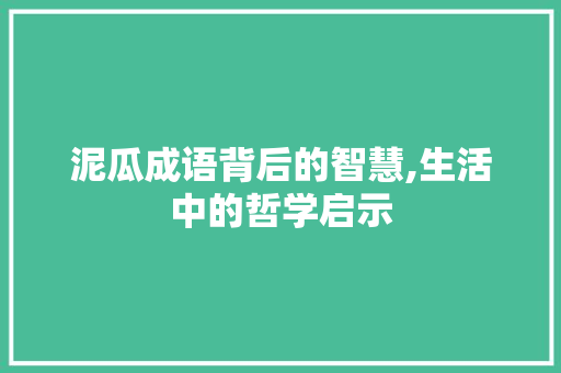 泥瓜成语背后的智慧,生活中的哲学启示