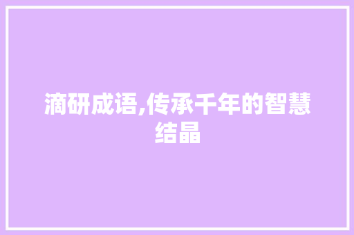 滴研成语,传承千年的智慧结晶