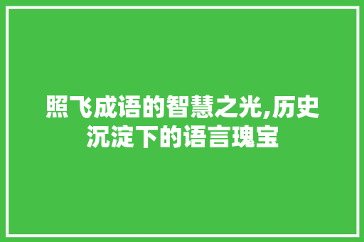 照飞成语的智慧之光,历史沉淀下的语言瑰宝
