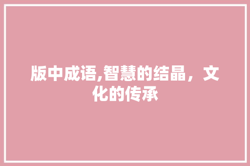版中成语,智慧的结晶，文化的传承