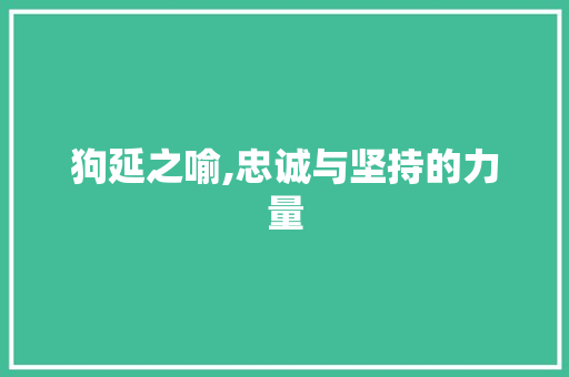 狗延之喻,忠诚与坚持的力量