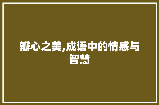 瓣心之美,成语中的情感与智慧