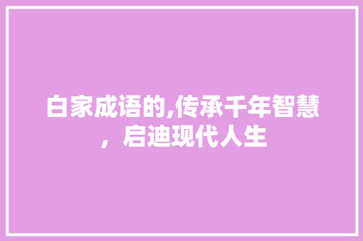 白家成语的,传承千年智慧，启迪现代人生