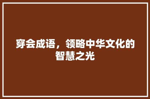 穿会成语，领略中华文化的智慧之光