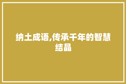 纳土成语,传承千年的智慧结晶