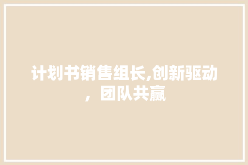 计划书销售组长,创新驱动，团队共赢