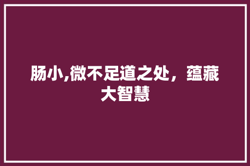 肠小,微不足道之处，蕴藏大智慧