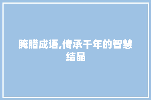 腌腊成语,传承千年的智慧结晶