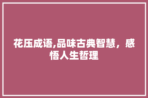 花压成语,品味古典智慧，感悟人生哲理