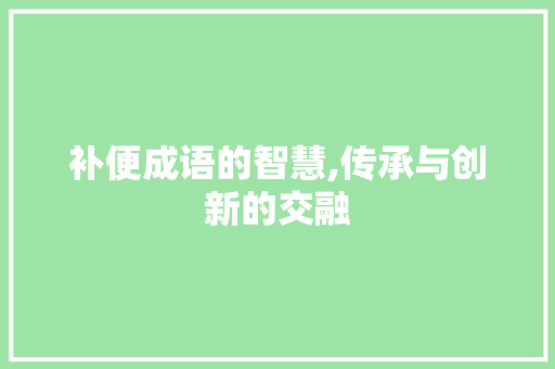 补便成语的智慧,传承与创新的交融