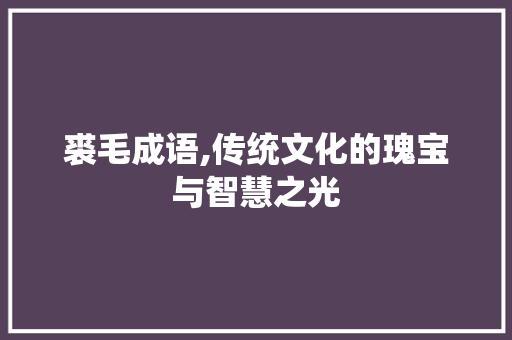 裘毛成语,传统文化的瑰宝与智慧之光