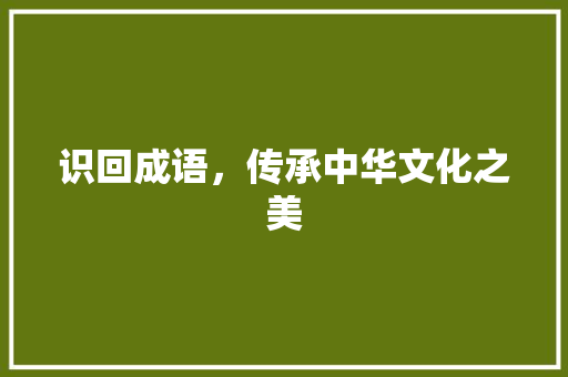 识回成语，传承中华文化之美