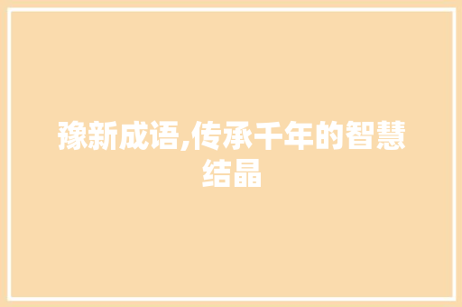 豫新成语,传承千年的智慧结晶 工作总结
