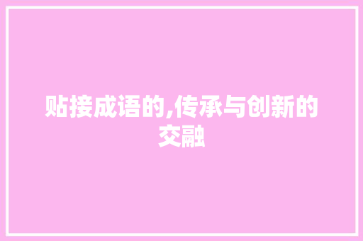 贴接成语的,传承与创新的交融