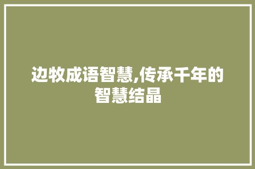 边牧成语智慧,传承千年的智慧结晶