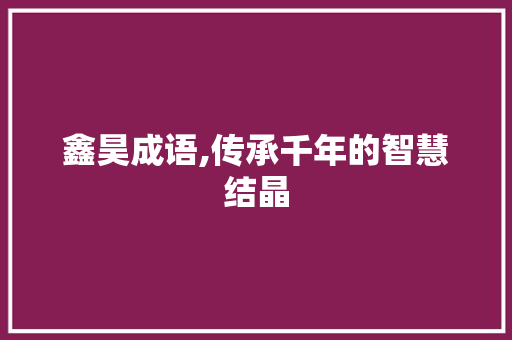 鑫昊成语,传承千年的智慧结晶