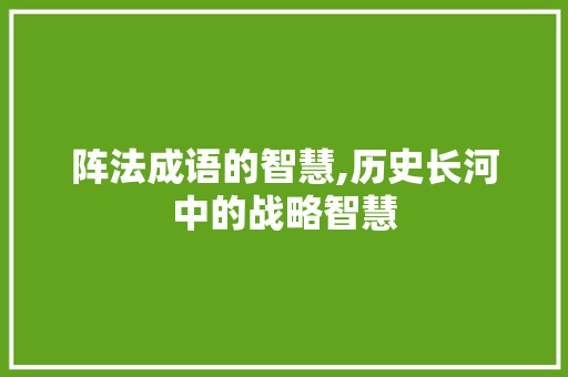 阵法成语的智慧,历史长河中的战略智慧