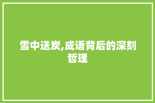 雪中送炭,成语背后的深刻哲理