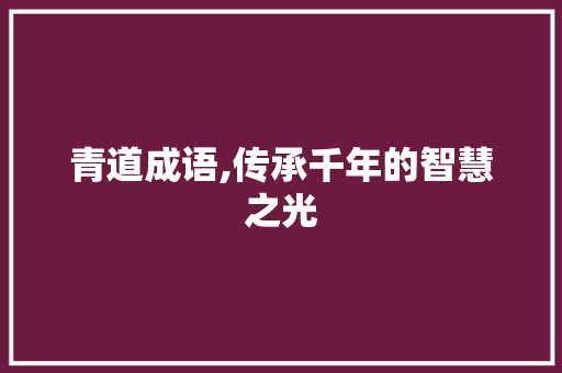 青道成语,传承千年的智慧之光