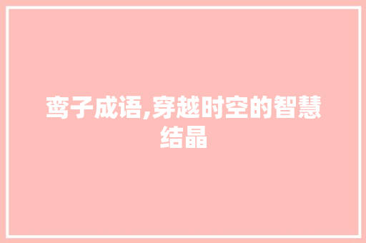 鸾子成语,穿越时空的智慧结晶