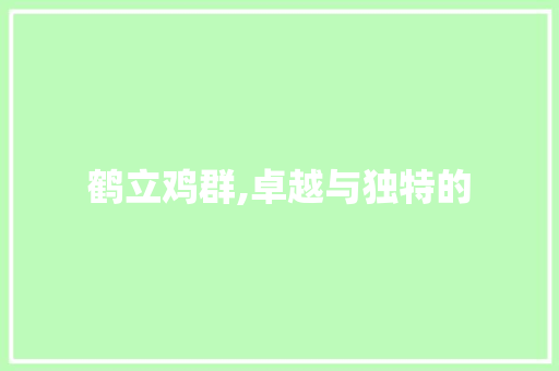鹤立鸡群,卓越与独特的