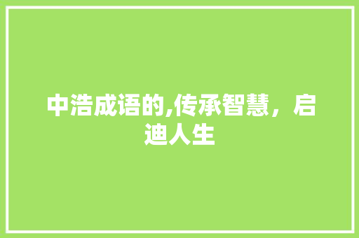 中浩成语的,传承智慧，启迪人生