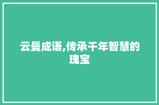 云曼成语,传承千年智慧的瑰宝