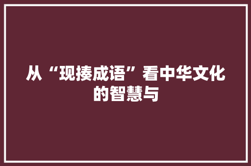 从“现揍成语”看中华文化的智慧与