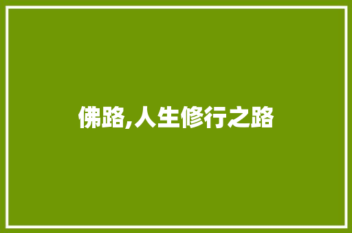 佛路,人生修行之路