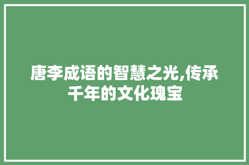 唐李成语的智慧之光,传承千年的文化瑰宝