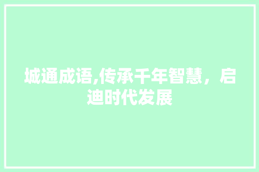 城通成语,传承千年智慧，启迪时代发展