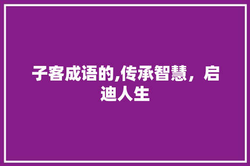 子客成语的,传承智慧，启迪人生