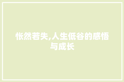 怅然若失,人生低谷的感悟与成长