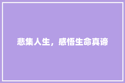 悲集人生，感悟生命真谛