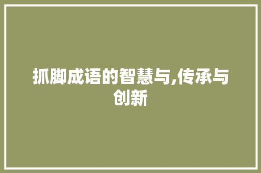 抓脚成语的智慧与,传承与创新