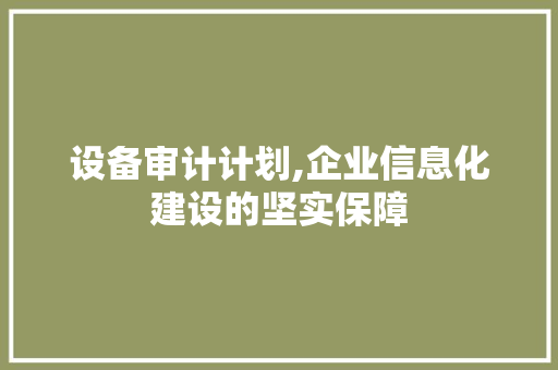 设备审计计划,企业信息化建设的坚实保障