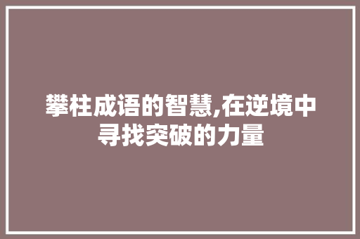 攀柱成语的智慧,在逆境中寻找突破的力量