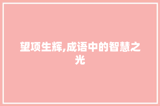 望项生辉,成语中的智慧之光 生活感悟