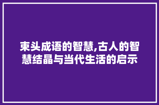 束头成语的智慧,古人的智慧结晶与当代生活的启示