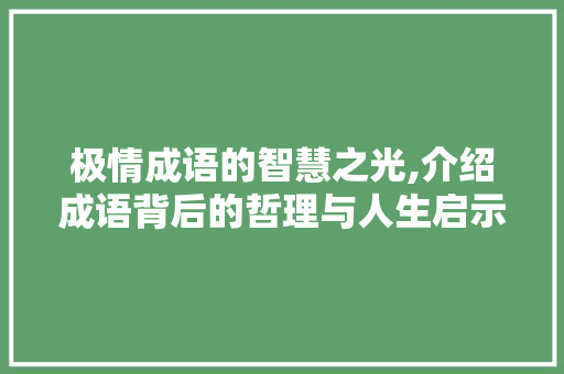 极情成语的智慧之光,介绍成语背后的哲理与人生启示