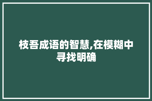 枝吾成语的智慧,在模糊中寻找明确