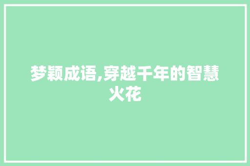 梦颖成语,穿越千年的智慧火花