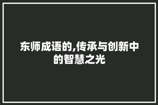 东师成语的,传承与创新中的智慧之光