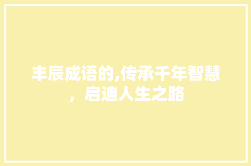 丰辰成语的,传承千年智慧，启迪人生之路