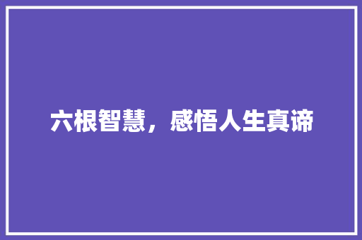 六根智慧，感悟人生真谛